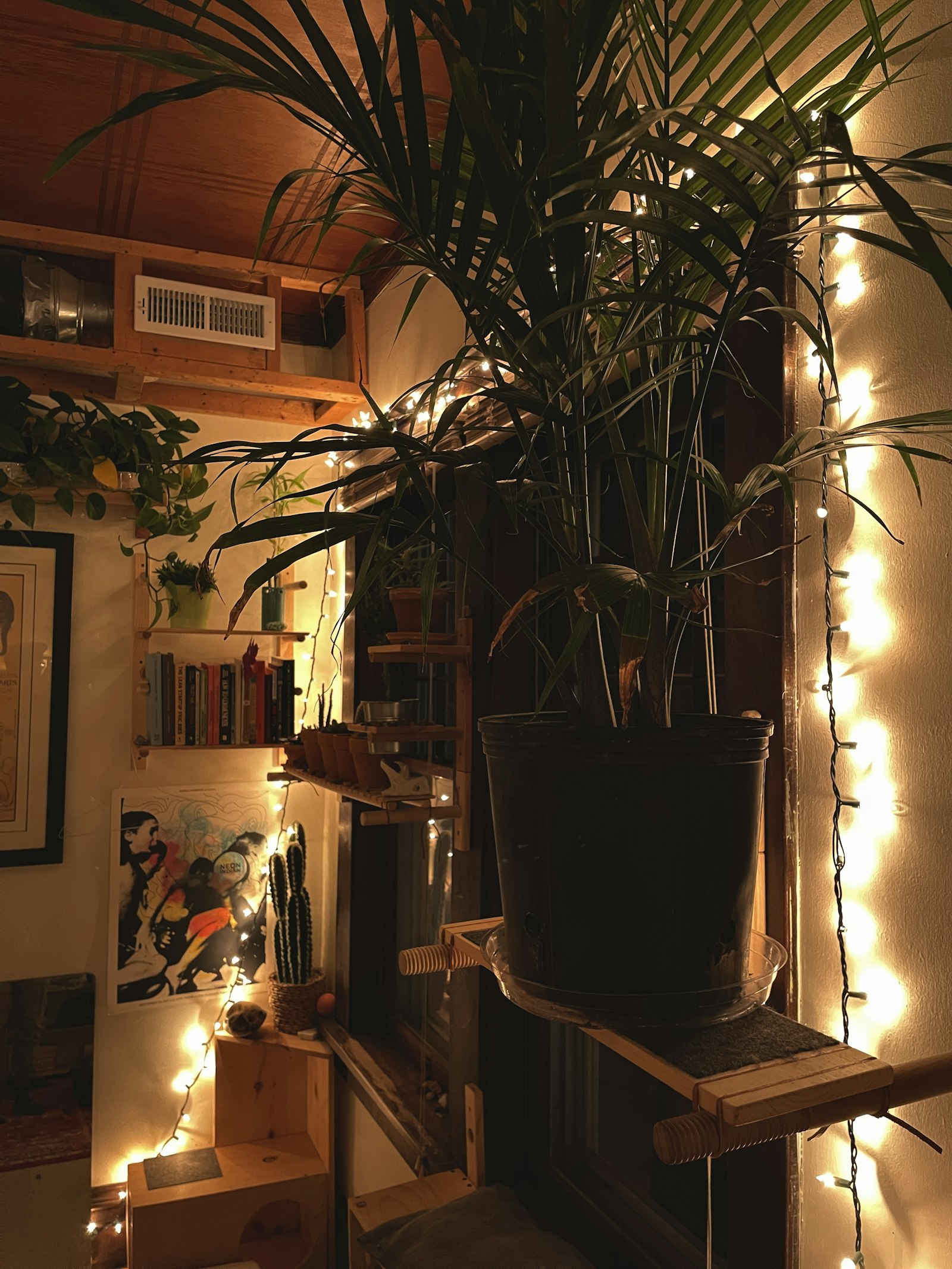 Best Grow Lights for Indoor Plants: Beginner’s Guide (2026)