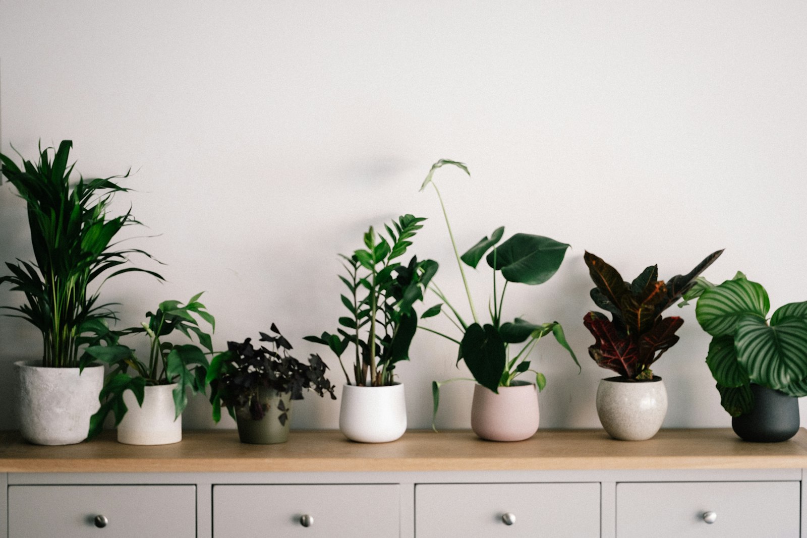 Beginner repotting a houseplant — removing a root-bound plant from a terracotta pot into a larger pot with fresh indoor potting mix on a newspaper-covered table
